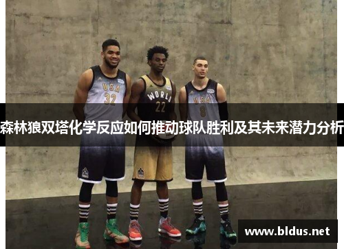 森林狼双塔化学反应如何推动球队胜利及其未来潜力分析