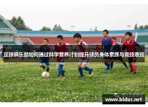 足球俱乐部如何通过科学营养计划提升球员身体素质与竞技表现
