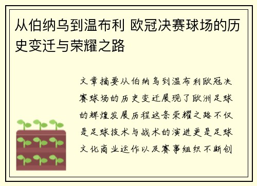从伯纳乌到温布利 欧冠决赛球场的历史变迁与荣耀之路